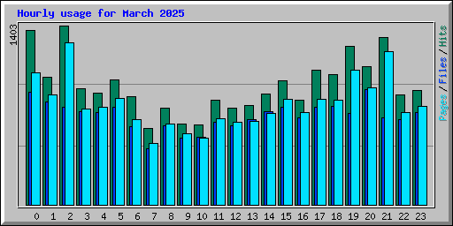 Hourly usage for March 2025