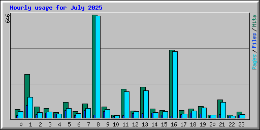 Hourly usage for July 2025
