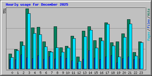 Hourly usage for December 2025
