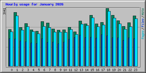 Hourly usage for January 2026