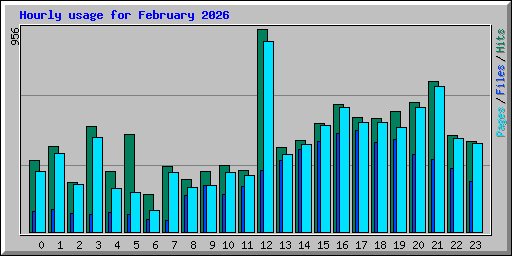 Hourly usage for February 2026