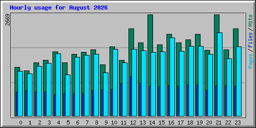 Hourly usage for August 2026
